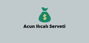 Acun Ilıcalı Serveti Kaç TL 2023 – Serveti İle Neler Alınır