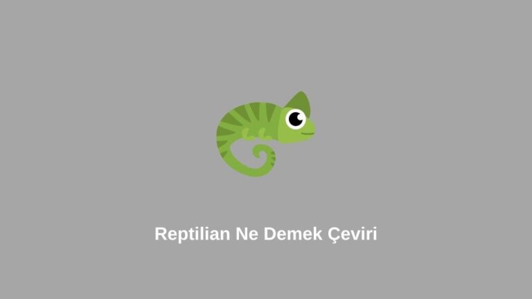 Reptilian Ne Demek Çeviri (Doğru Bilgi)