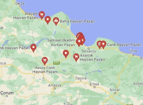 Samsun Hayvan Pazarı Nasıl Giderim