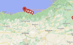 Trabzon Hayvan Pazarı Nasıl Giderim