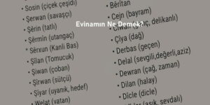 Evinamın Ne Demek? (Doğru Cevap)