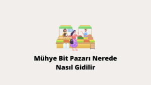 Mühye Bit Pazarı Nerede Nasıl Giderim