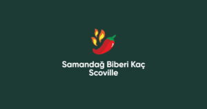 Samandağ Biberi Kaç Scoville (Doğru Cevap)
