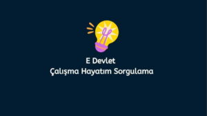 E Devlet Çalışma Hayatım Sorgulama – Ne Zaman Emekli Olurum?