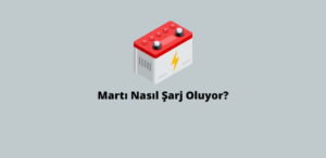 Martı Nasıl Şarj Oluyor? (Doğru Cevap)